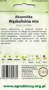aksamitka waskolistna mix 2